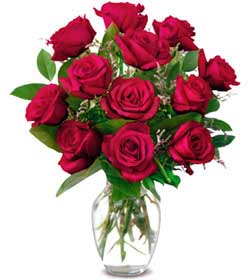 Ankara Eryaman de farklı bir çiçek firması ürünü  Sevgiye hasret gülleri Ankara çiçek gönder firması şahane ürünümüz
