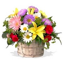 Ankara Eryaman çiçek siparişi sitemizin görsel ürünü kır çiçeklerinden mevsim sepeti Ankara çiçek gönder firması şahane ürünümüz