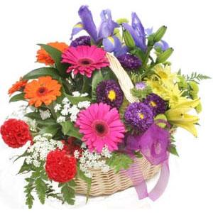 Ankara Eryaman çiçek siparişi sitemizin görsel ürünü Karışık mevsim sepeti çiçeği Ankara çiçek gönder firması şahane ürünümüz