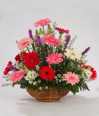 Ankara Eryaman Yenimahalle Çiçekçi firma ürünümüz Karışık Gerbera mevsim sepeti çiçeği Ankara çiçek gönder firması şahane ürünümüz