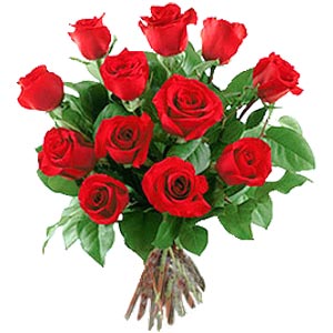 canlı ve kanlı kıpkırmızı güller Ankara ostim çiçek siparişi firma ürünümüz
