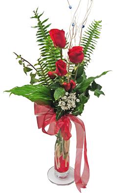 Ankara Eryaman çiçek yolla dükkanımızdan sadece etkileme gülleri Ankara çiçek gönder firması şahane ürünümüz