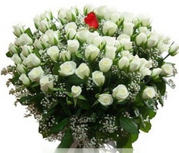 Ankara Eryaman çiçekçi den 100 adet beyaz 1 adet kirmizi gül buketi